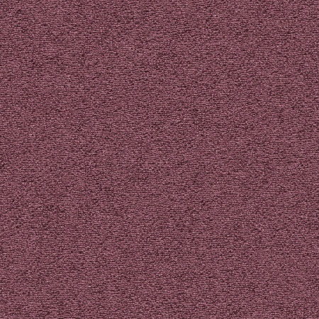 Venus - 1P17